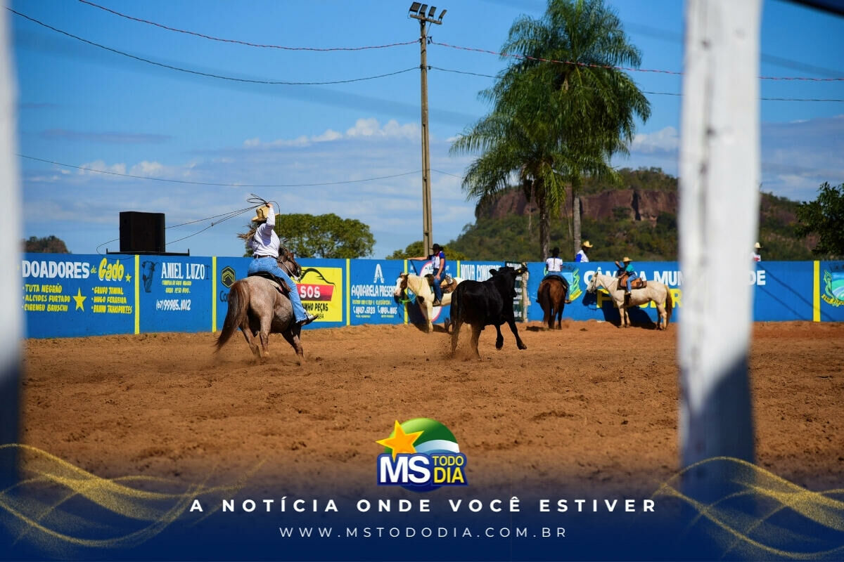 Imagem da Galeria